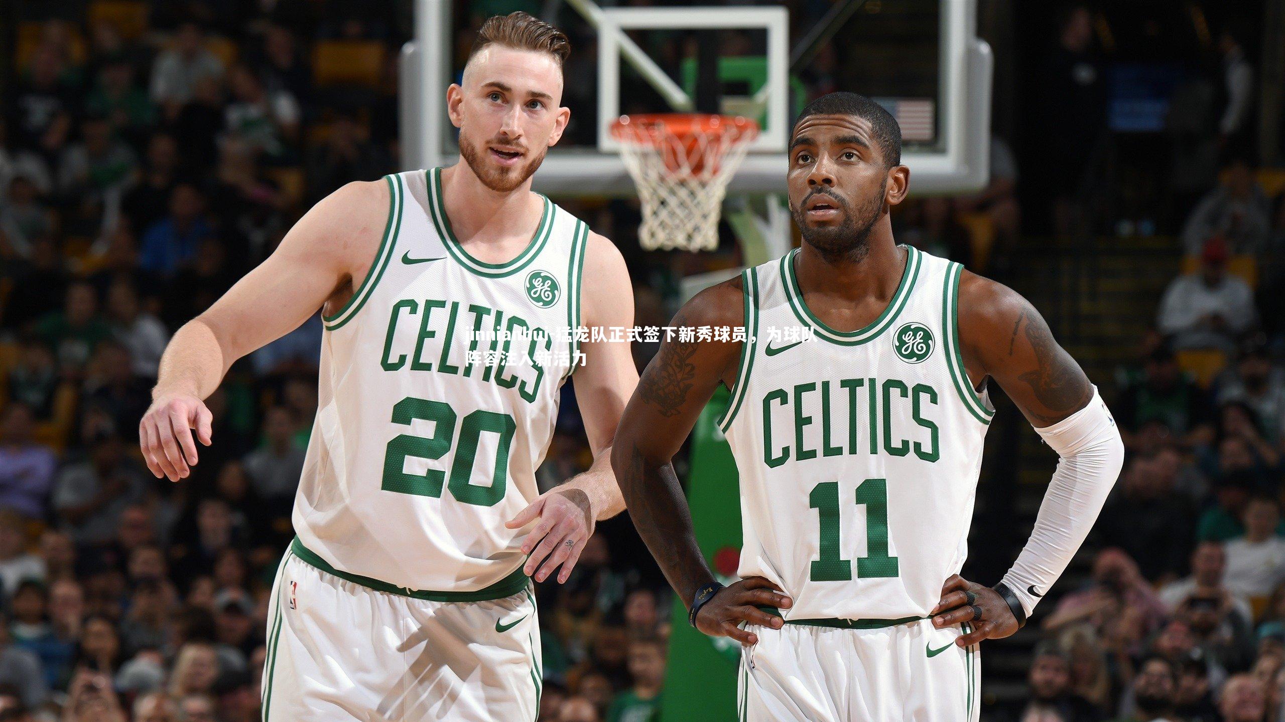 猛龙队正式签下新秀球员,为球队阵容注入新活力